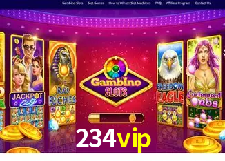 234vip Rio de Janeiro - Bonus Terms
